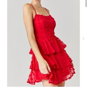 NWT Francesca’s Clip Dot Dress